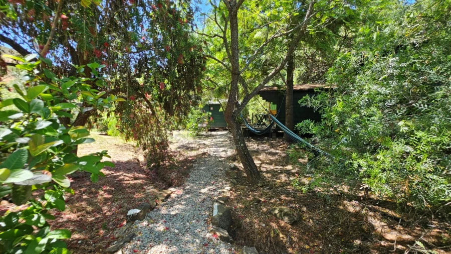 Quinta T25 para Venda em Santa Catarina da Fonte do Bispo Foto 34