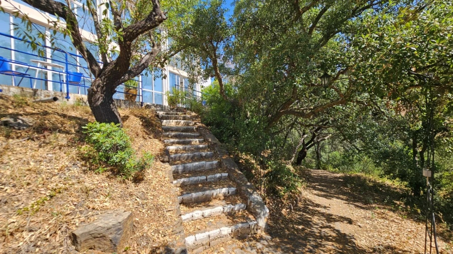 Quinta T25 para Venda em Santa Catarina da Fonte do Bispo Foto 39