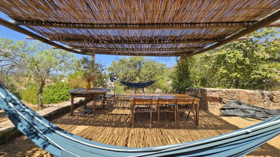 Quinta T25 para Venda em Santa Catarina da Fonte do Bispo Foto 50