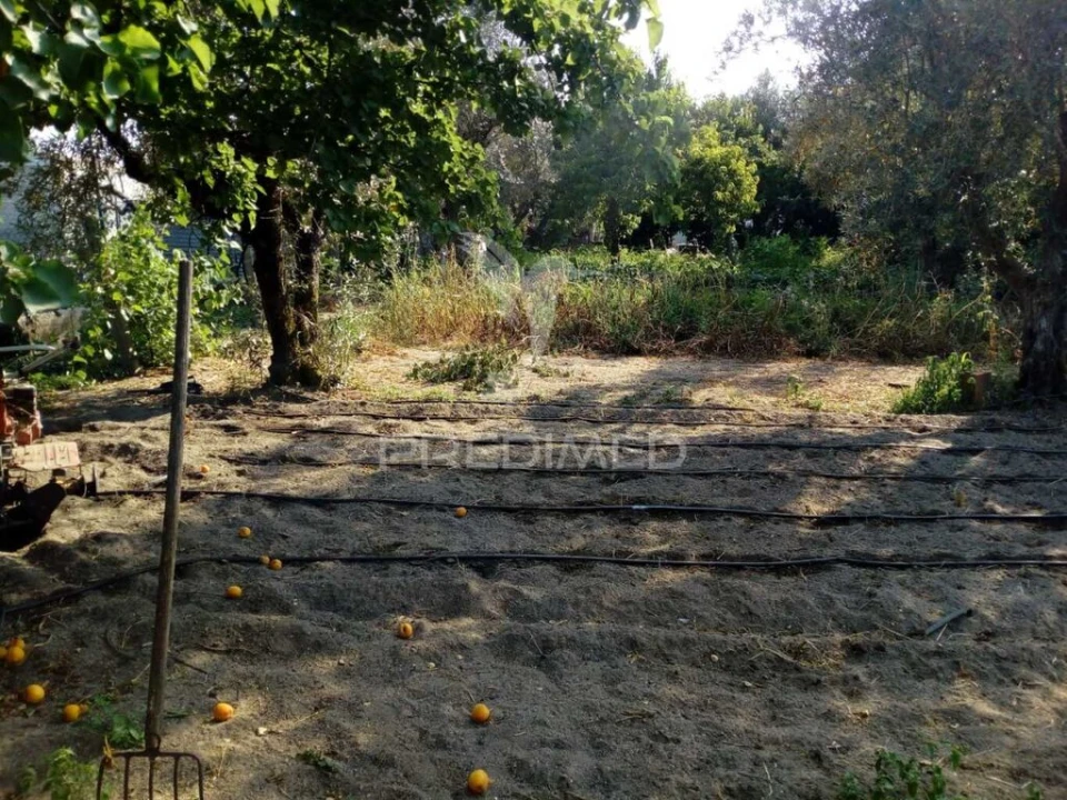 Moradia T3 para Venda em Ponte de Sor, Tramaga e Vale de Açor Foto 16