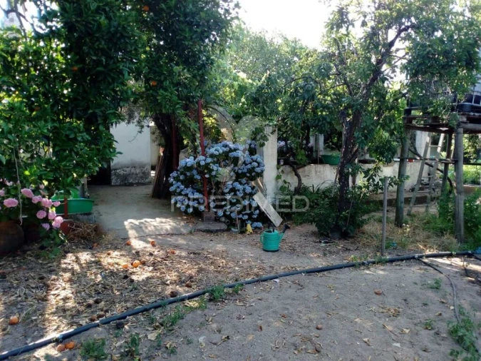 Moradia T3 para Venda em Ponte de Sor, Tramaga e Vale de Açor Foto 7