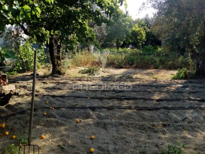 Moradia T3 para Venda em Ponte de Sor, Tramaga e Vale de Açor Foto 16