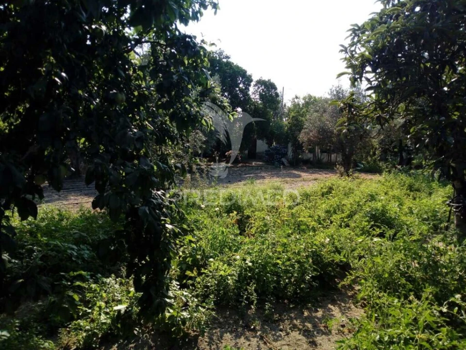 Moradia T3 para Venda em Ponte de Sor, Tramaga e Vale de Açor Foto 15