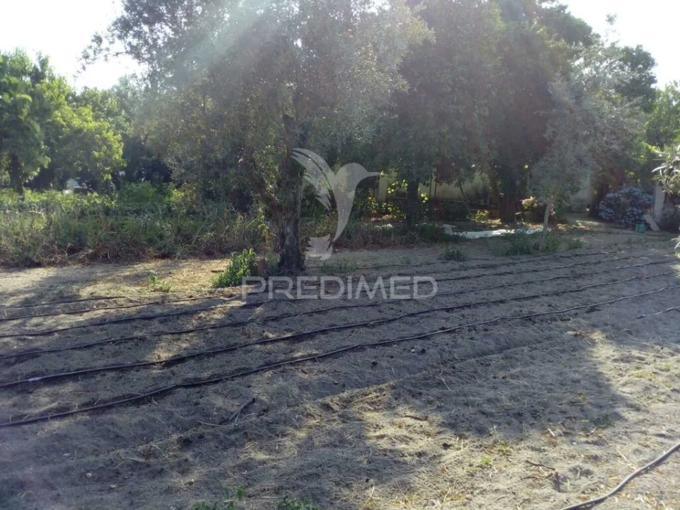 Moradia T3 para Venda em Ponte de Sor, Tramaga e Vale de Açor Foto 17