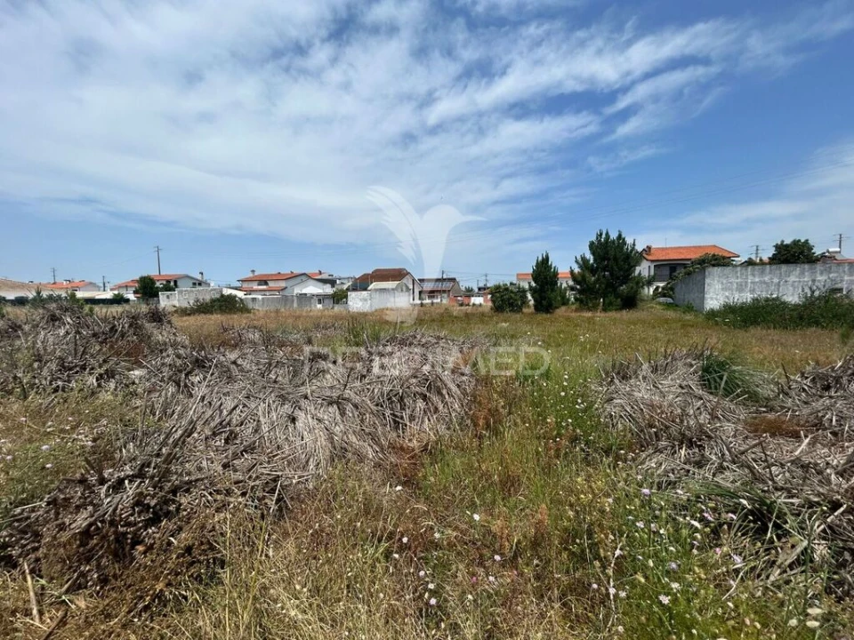 Terreno para Venda em Gafanha da Nazaré Foto 2
