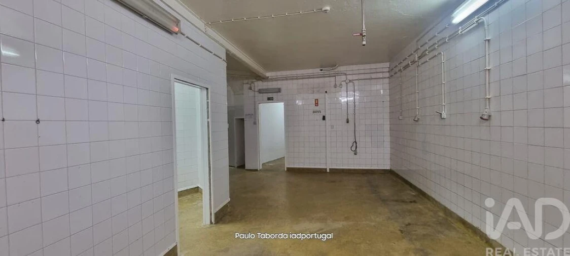 Loja para Venda em Tolosa Foto 16