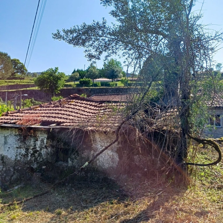 Terreno para Venda em Vieira do Minho Foto 18
