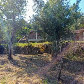 Terreno para Venda em Vieira do Minho