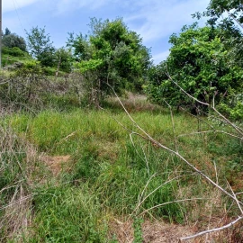 Terreno para Venda em Vieira do Minho