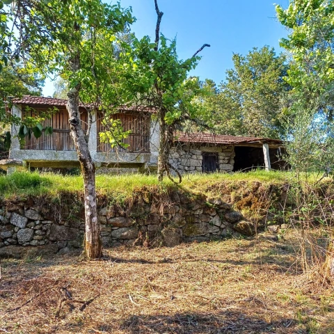 Terreno para Venda em Vieira do Minho
