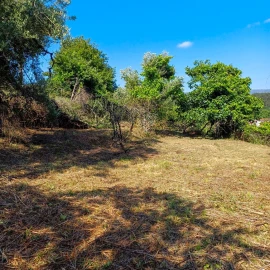 Terreno para Venda em Vieira do Minho