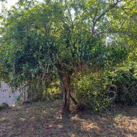 Terreno para Venda em Vieira do Minho