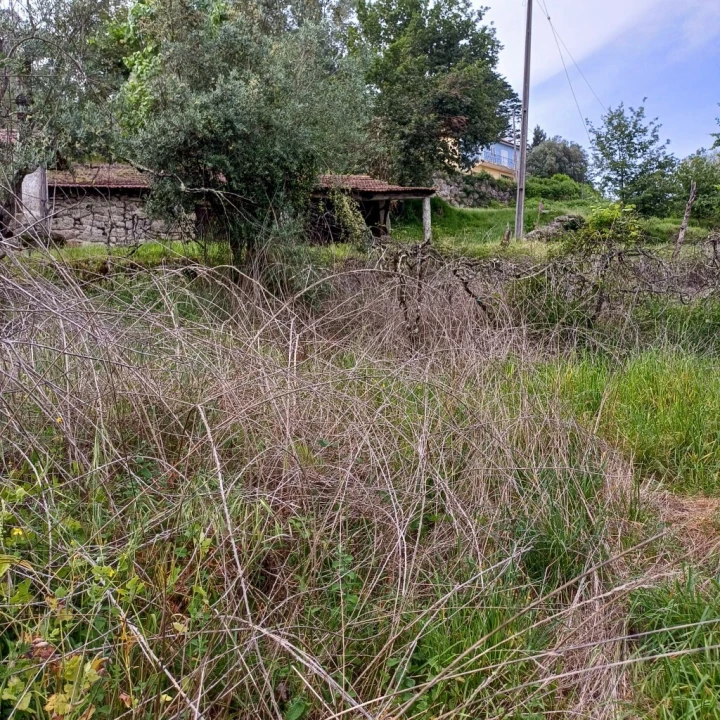 Terreno para Venda em Vieira do Minho Foto 27