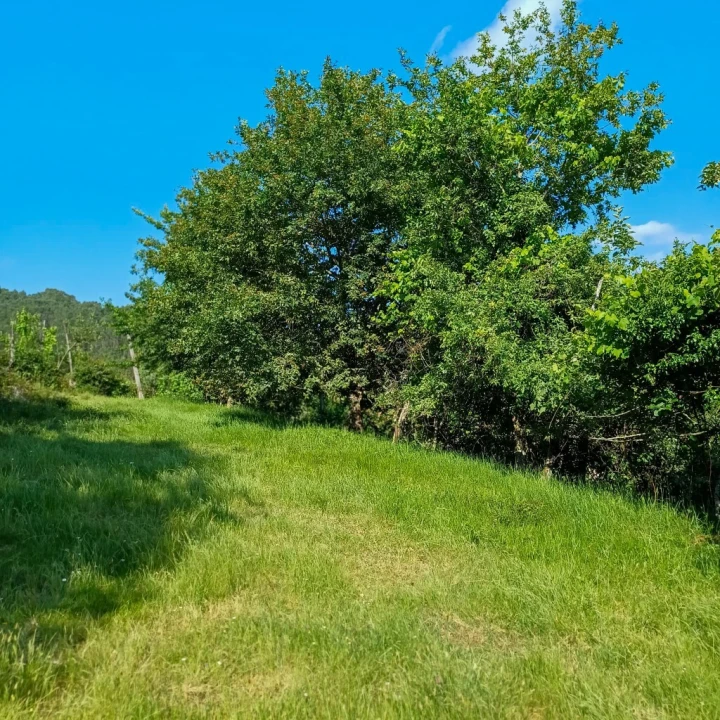 Terreno para Venda em Vieira do Minho Foto 21