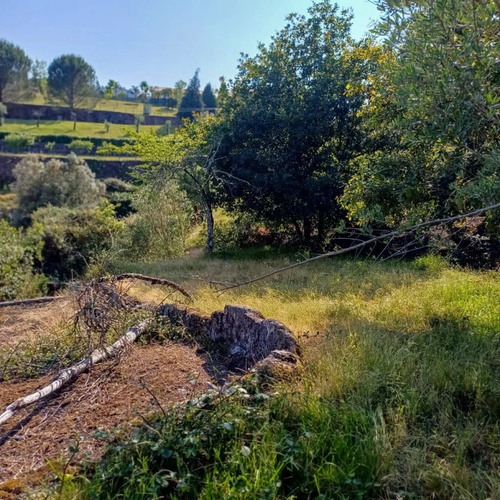 Terreno para Venda em Vieira do Minho Foto 23