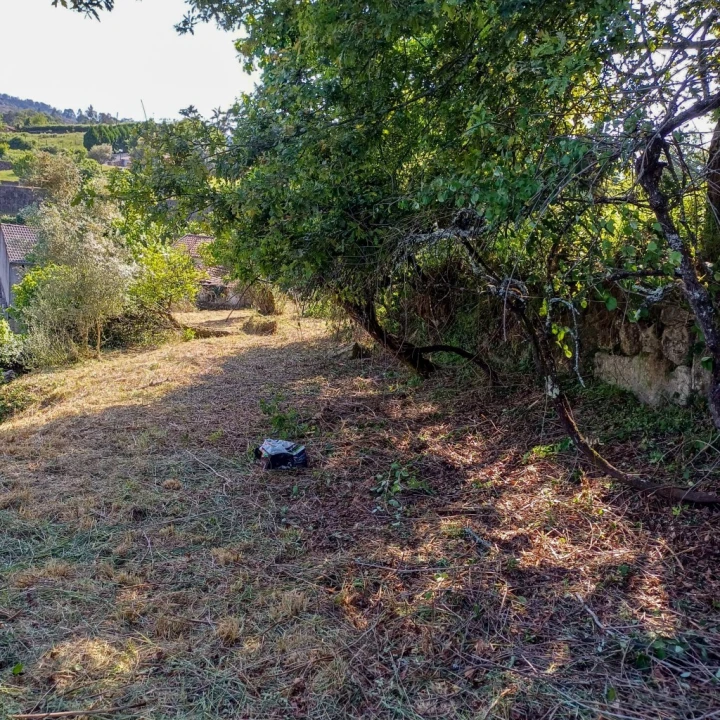 Terreno para Venda em Vieira do Minho Foto 31