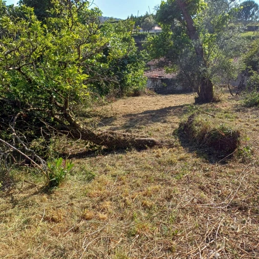 Terreno para Venda em Vieira do Minho Foto 33