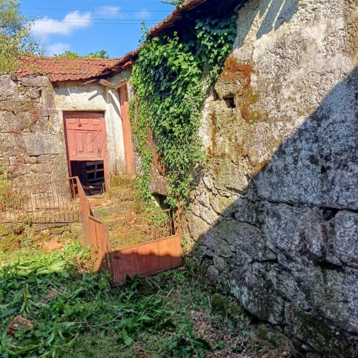 Terreno para Venda em Vieira do Minho Foto 45
