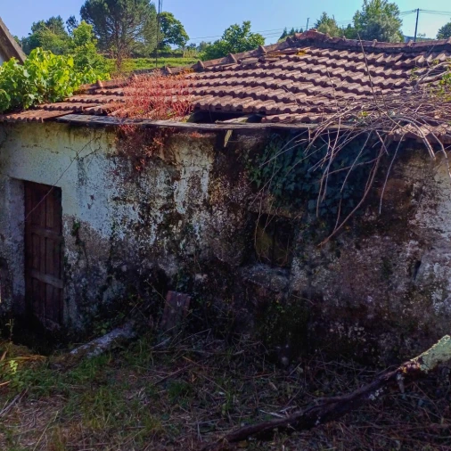 Terreno para Venda em Vieira do Minho Foto 39