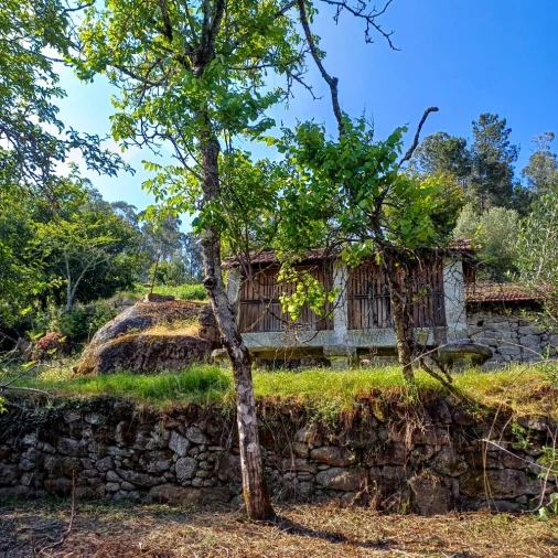 Terreno para Venda em Vieira do Minho Foto 37
