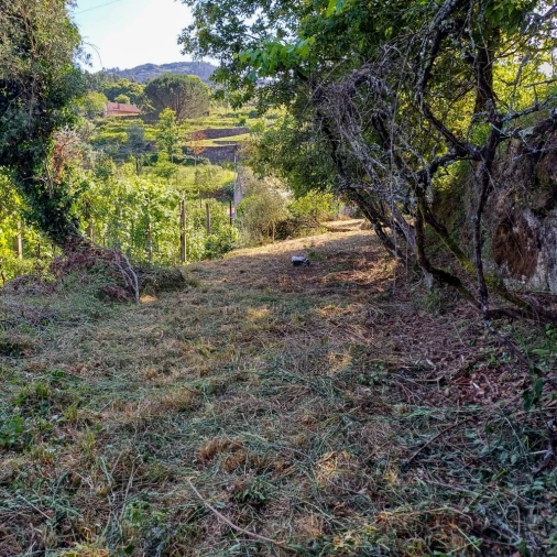 Terreno para Venda em Vieira do Minho Foto 32