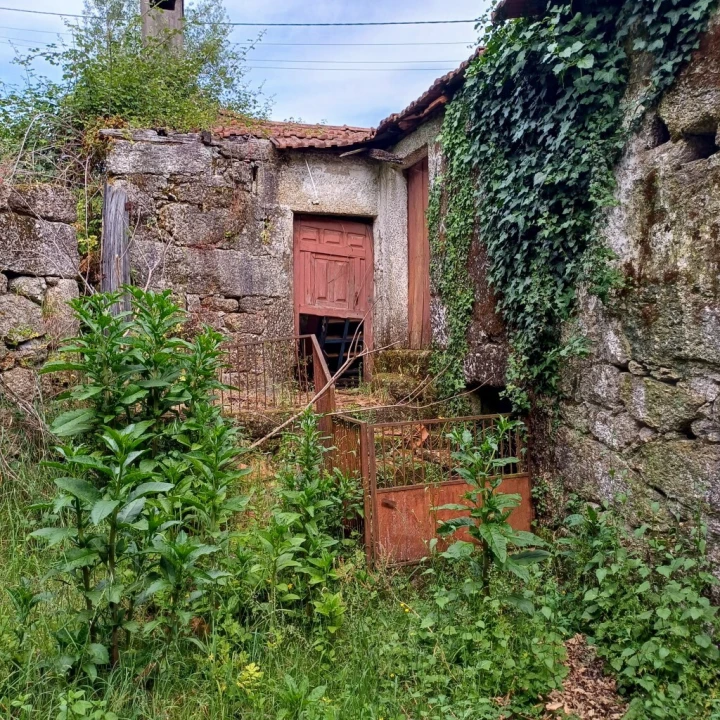 Terreno para Venda em Vieira do Minho Foto 25