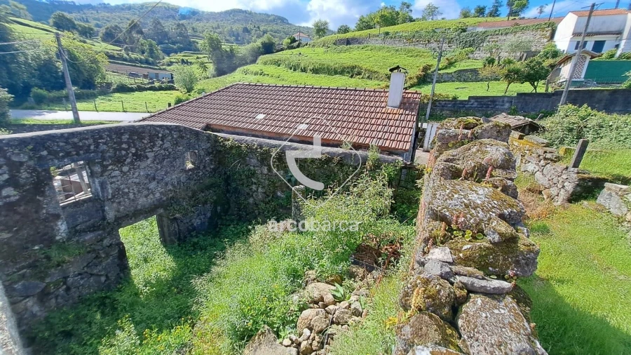 Moradia T1 para Venda em Bico e Cristelo Foto 18