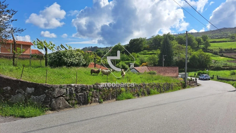 Moradia T1 para Venda em Bico e Cristelo Foto 22