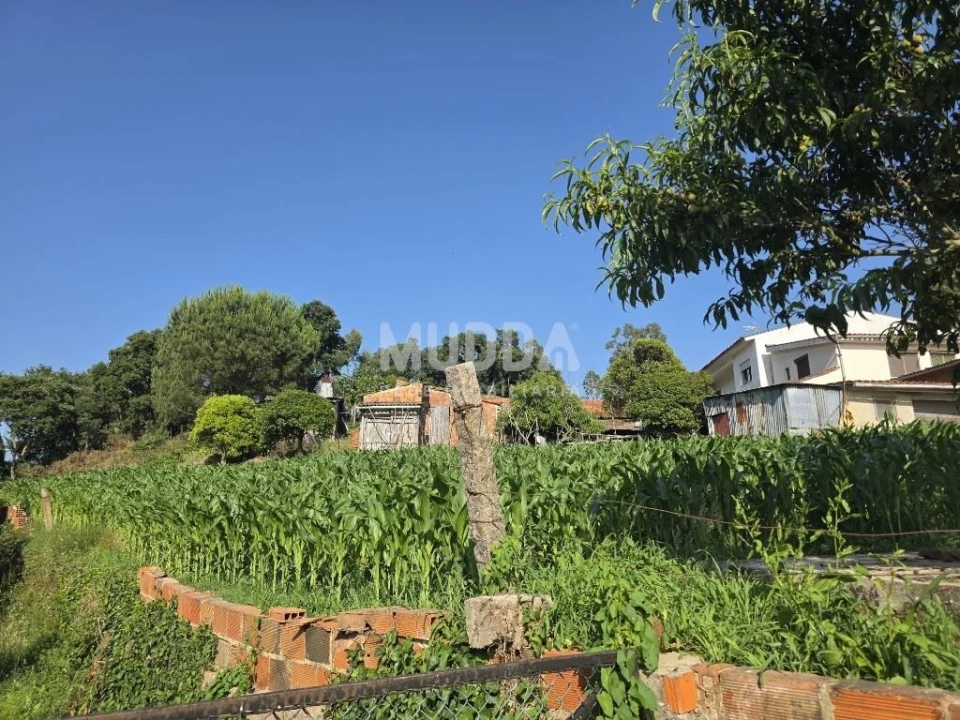 Terreno para Venda em Canelas e Fermelã Foto 6