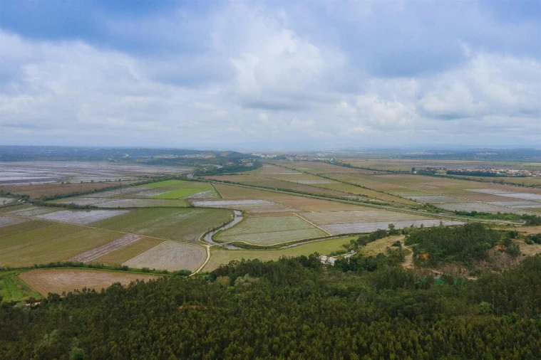 Moradia T5 para Venda em Maiorca Foto 20