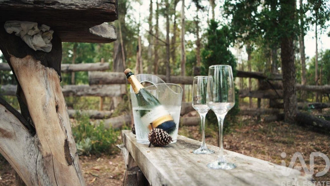 Moradia T4 para Venda em Sangalhos Foto 18