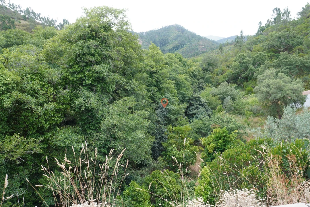 Moradia T2 para Venda em Monchique Foto 29