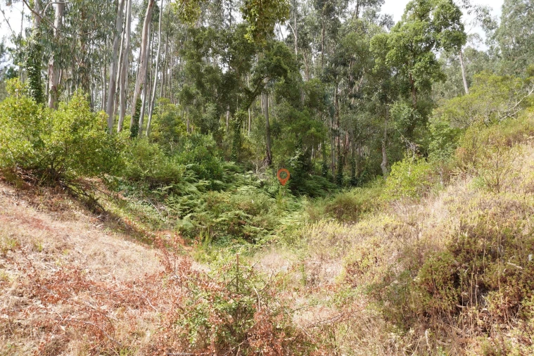 Moradia T2 para Venda em Monchique Foto 20