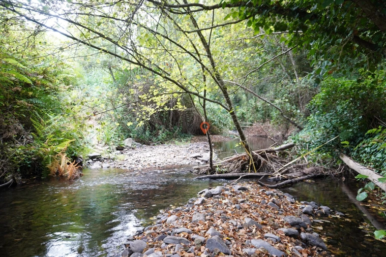 Moradia T2 para Venda em Monchique Foto 25