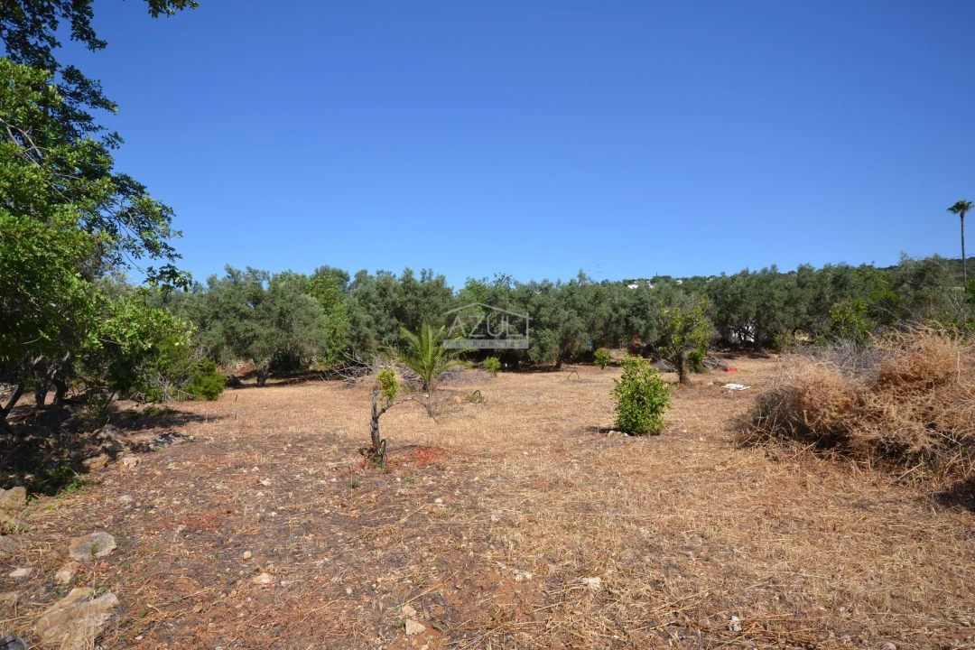 Terreno para Venda em Loule (São Clemente) Foto 19