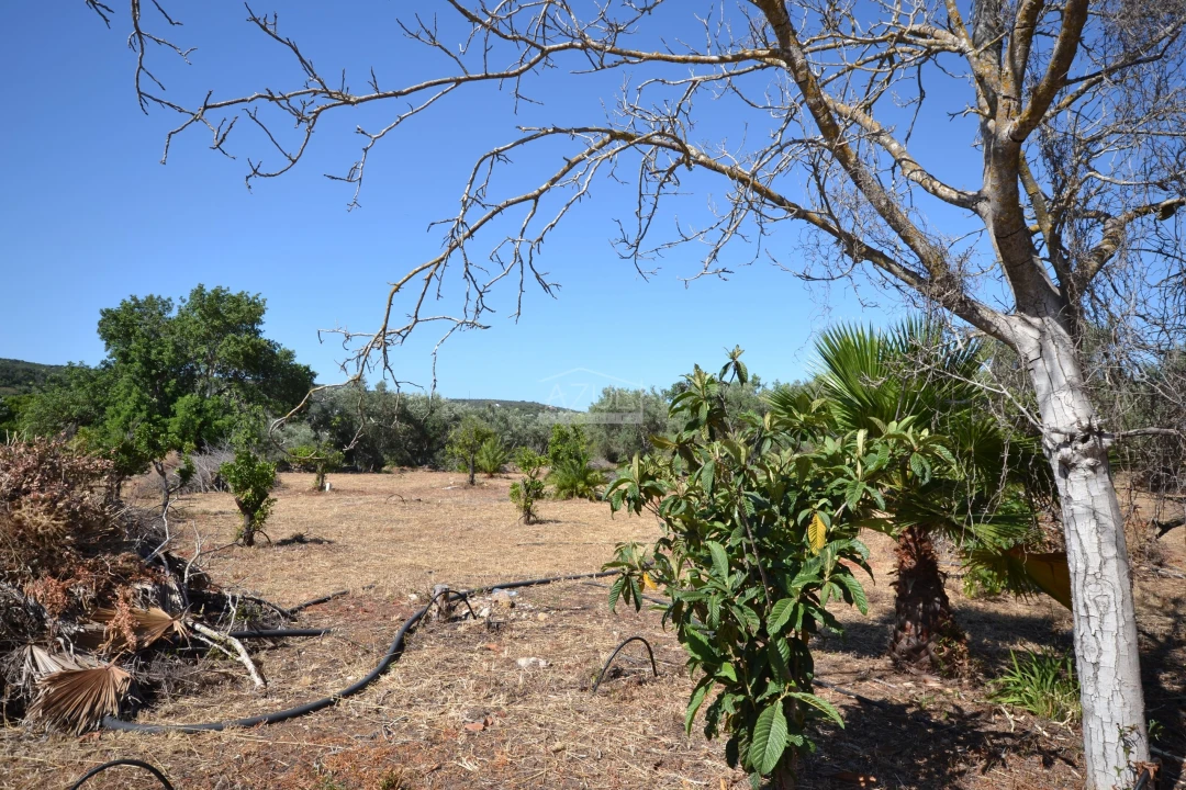 Terreno para Venda em Loule (São Clemente) Foto 21