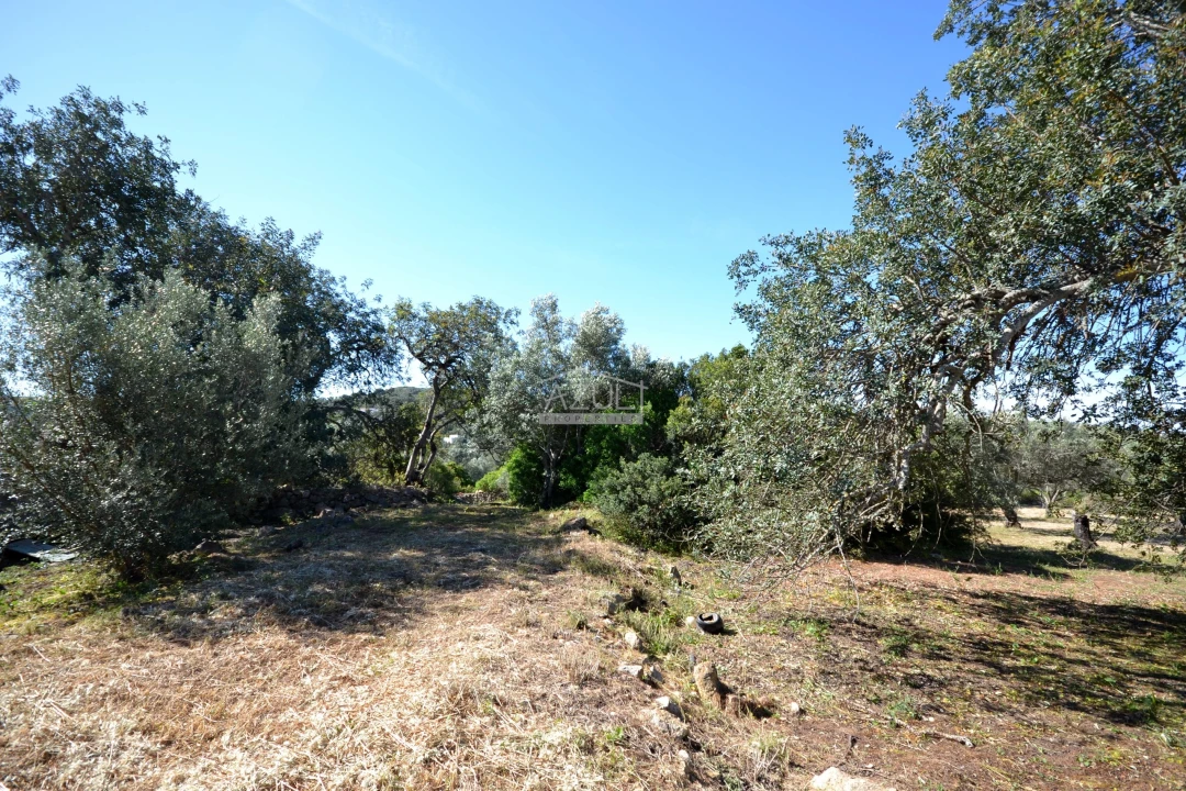 Terreno para Venda em Loule (São Clemente) Foto 11