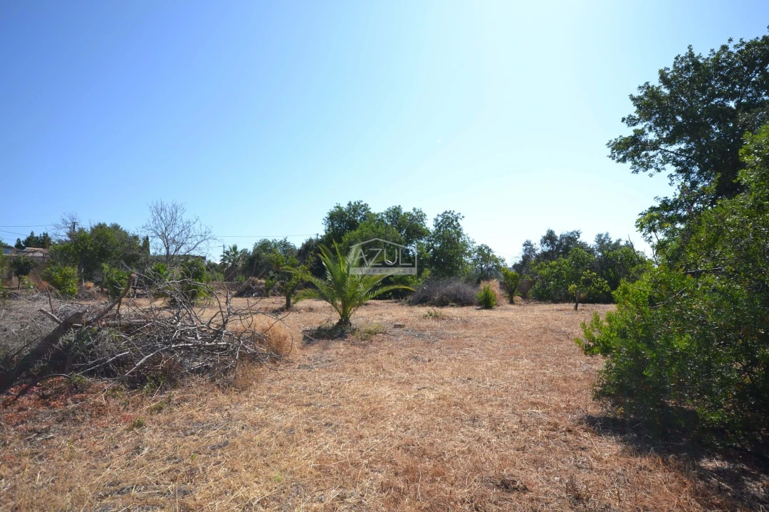 Terreno para Venda em Loule (São Clemente) Foto 13