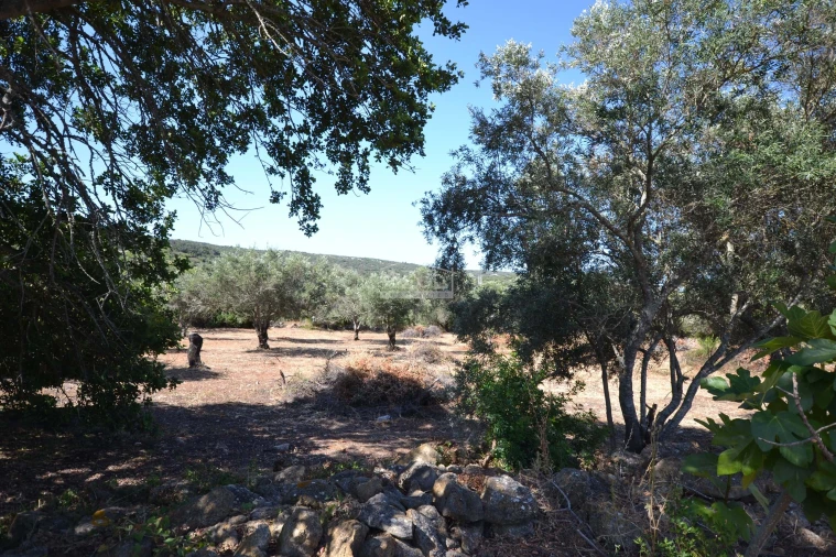 Terreno para Venda em Loule (São Clemente) Foto 20