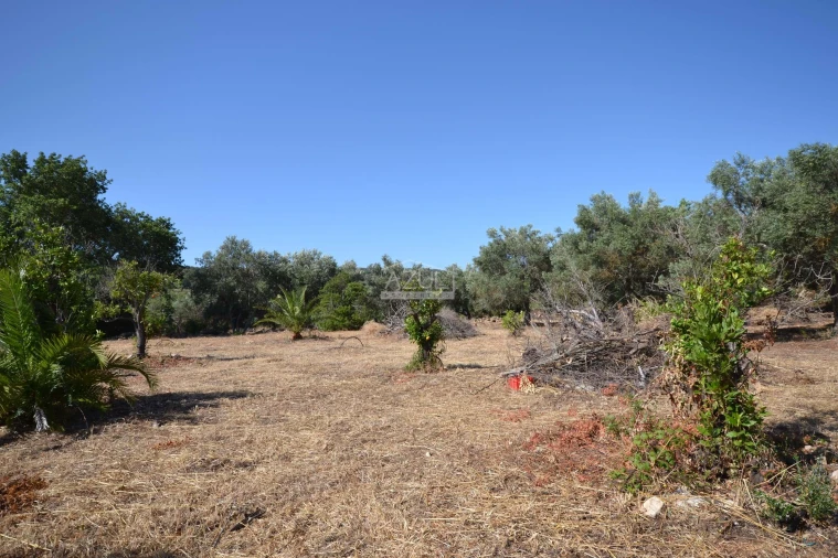 Terreno para Venda em Loule (São Clemente) Foto 7