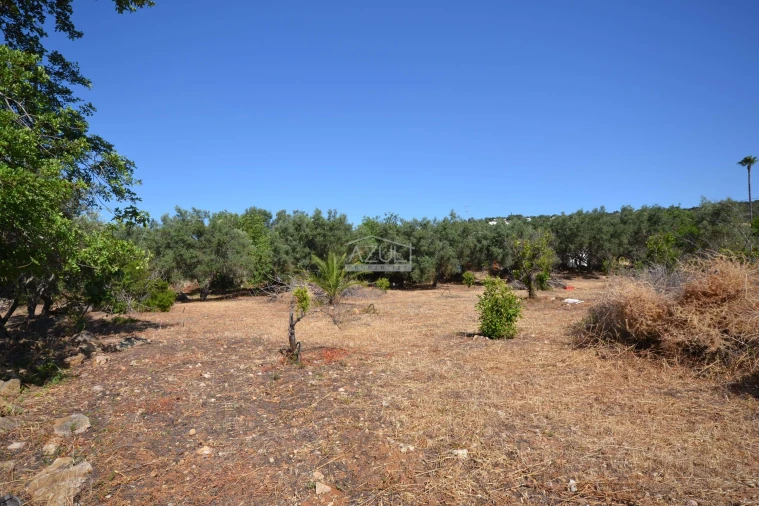 Terreno para Venda em Loule (São Clemente) Foto 19