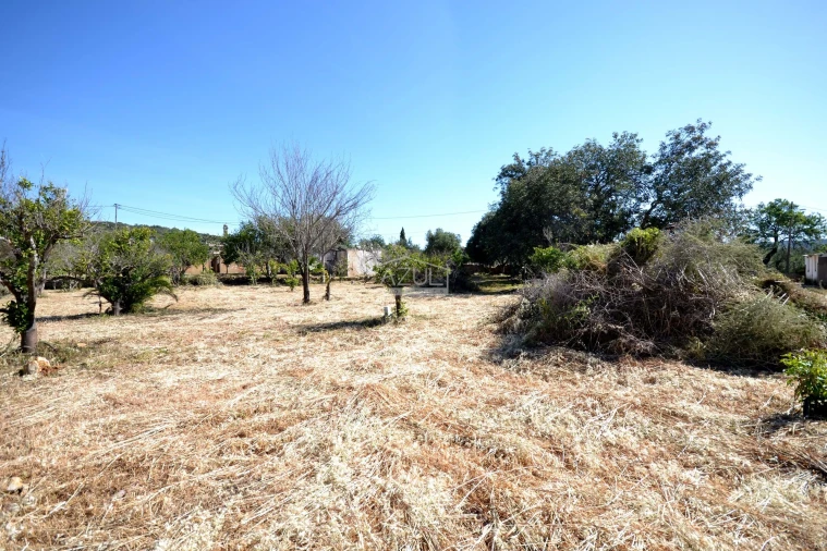 Terreno para Venda em Loule (São Clemente) Foto 10