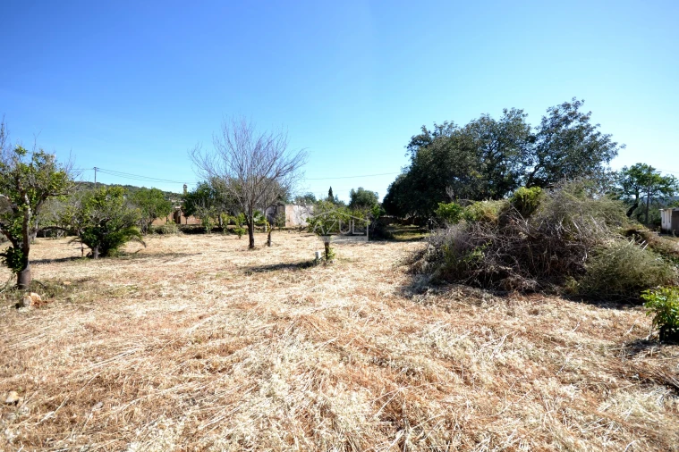 Terreno para Venda em Loule (São Clemente) Foto 3