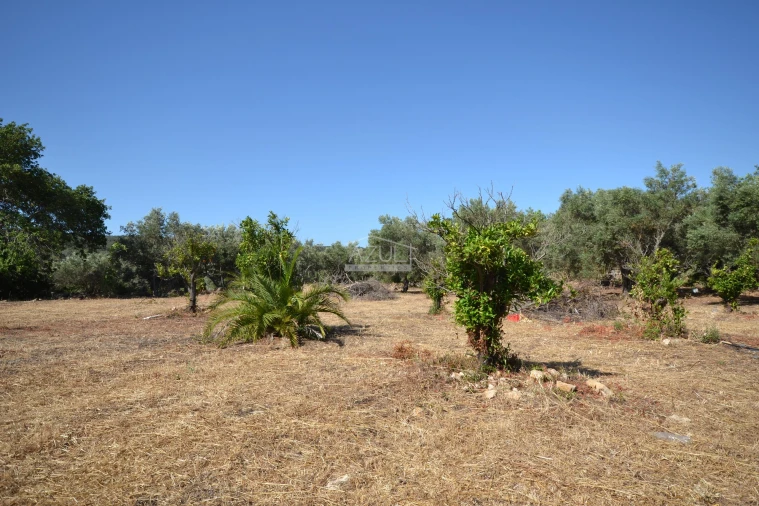 Terreno para Venda em Loule (São Clemente) Foto 6