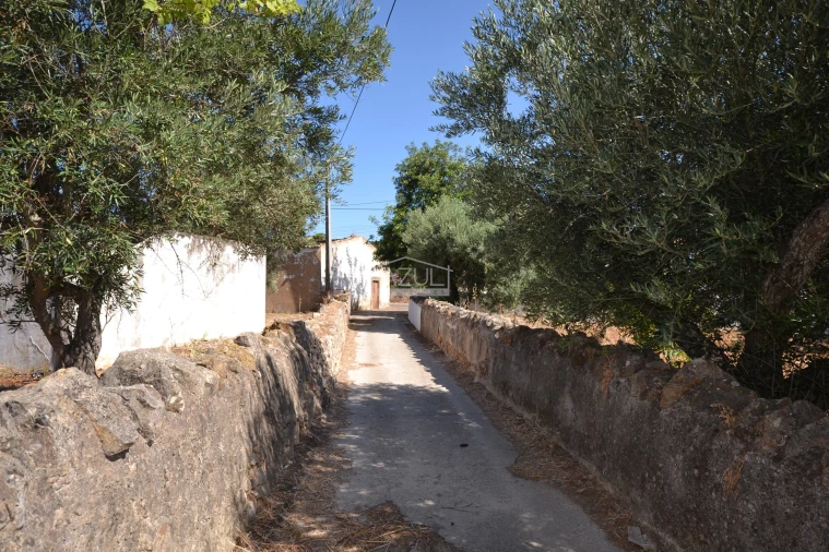 Terreno para Venda em Loule (São Clemente) Foto 22