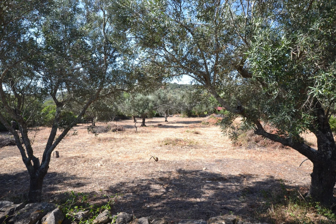 Terreno para Venda em Loule (São Clemente) Foto 14