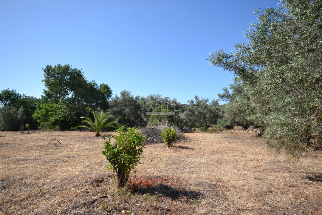Terreno para Venda em Loule (São Clemente) Foto 8