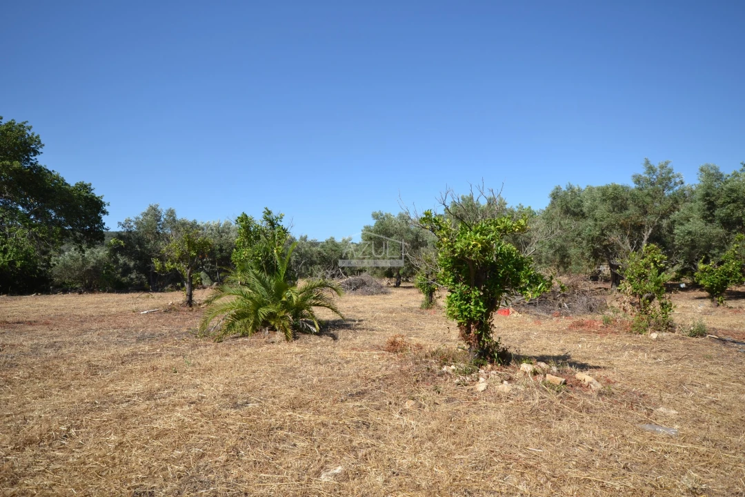 Terreno para Venda em Loule (São Clemente) Foto 6