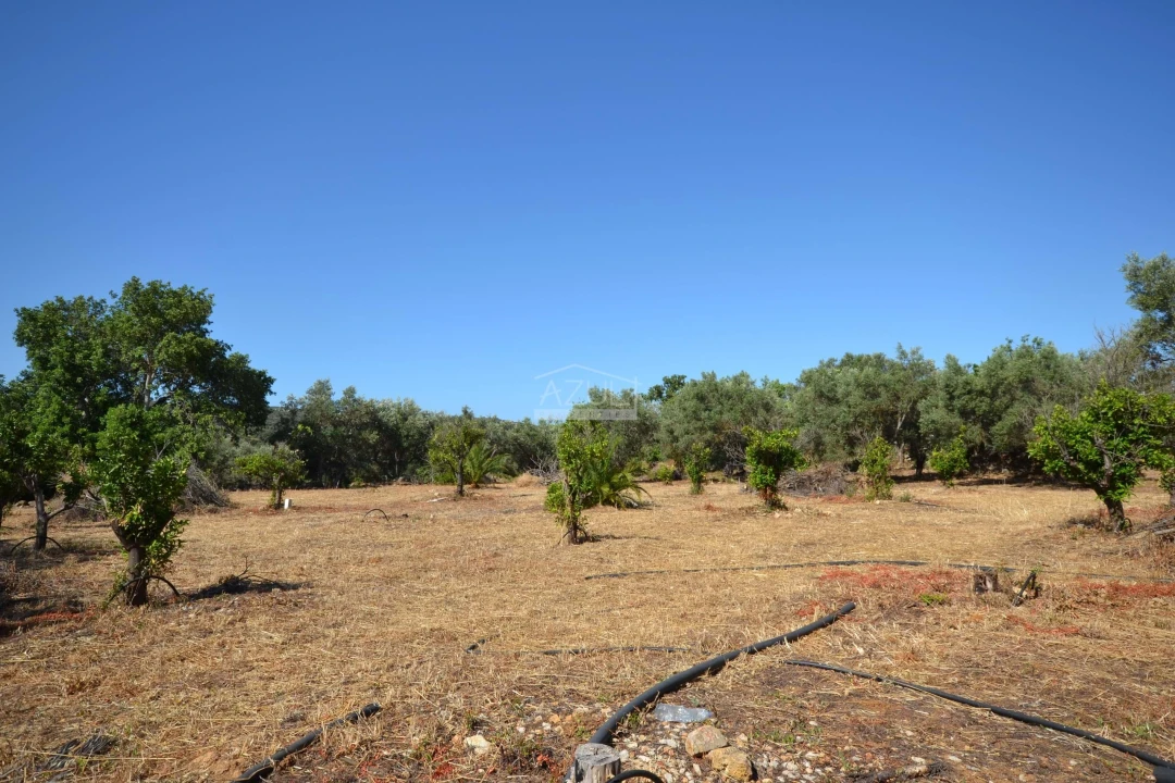 Terreno para Venda em Loule (São Clemente) Foto 2