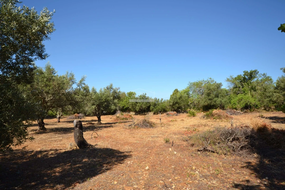 Terreno para Venda em Loule (São Clemente) Foto 18